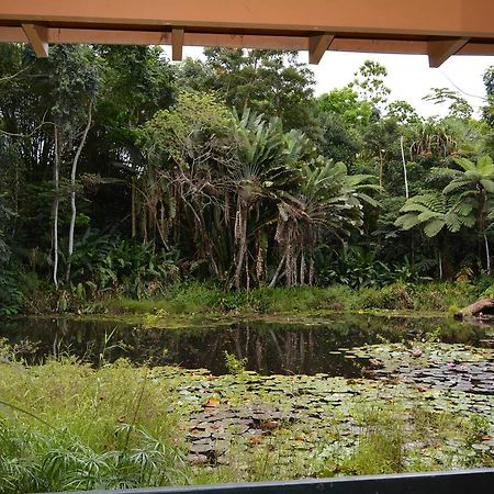 סובה Rainforest Eco Lodge מראה חיצוני תמונה