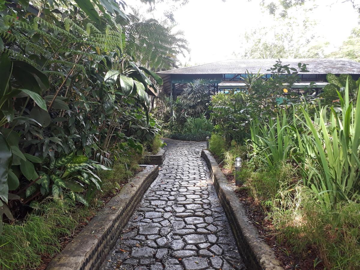 סובה Rainforest Eco Lodge מראה חיצוני תמונה