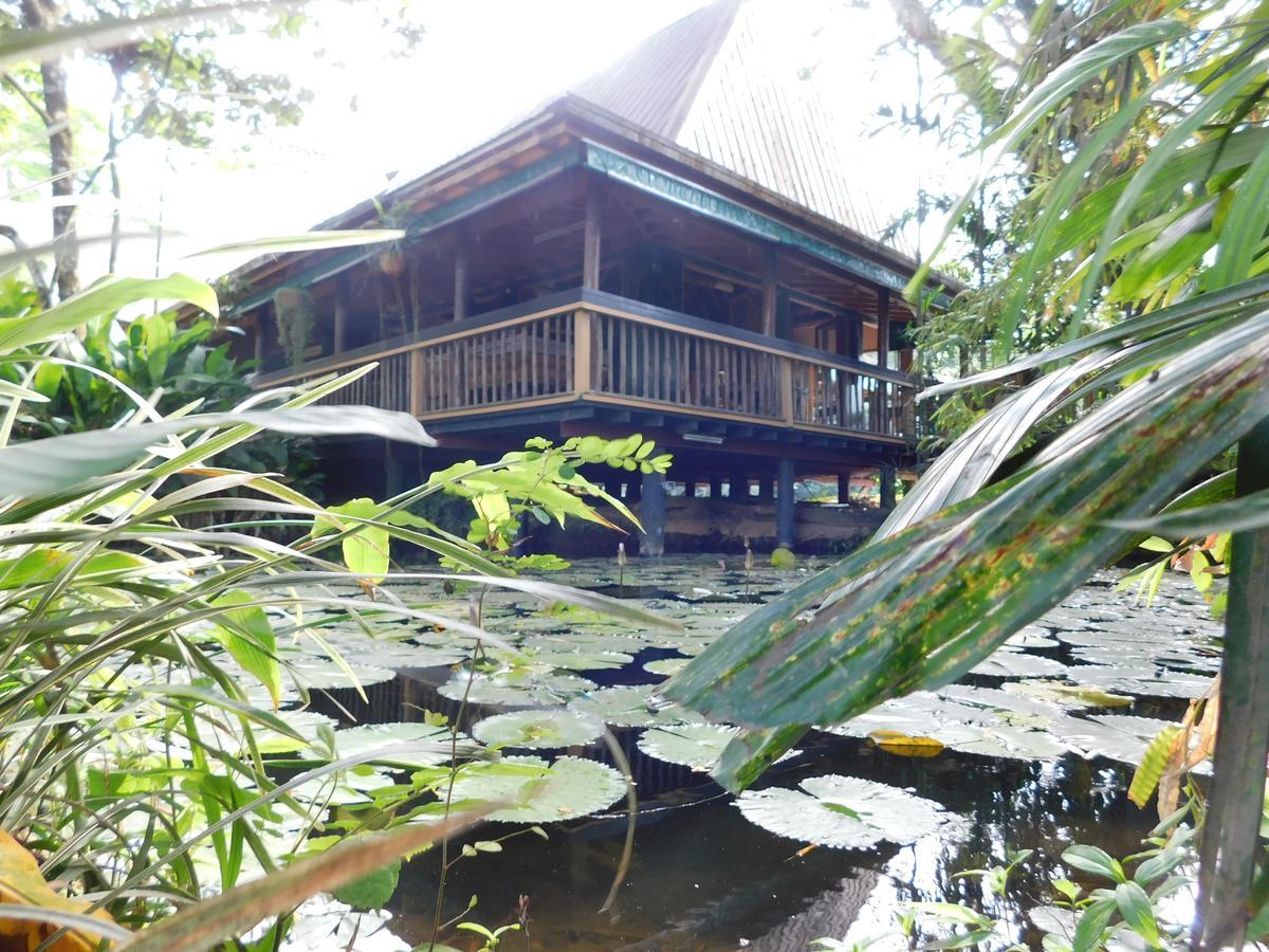 סובה Rainforest Eco Lodge מראה חיצוני תמונה