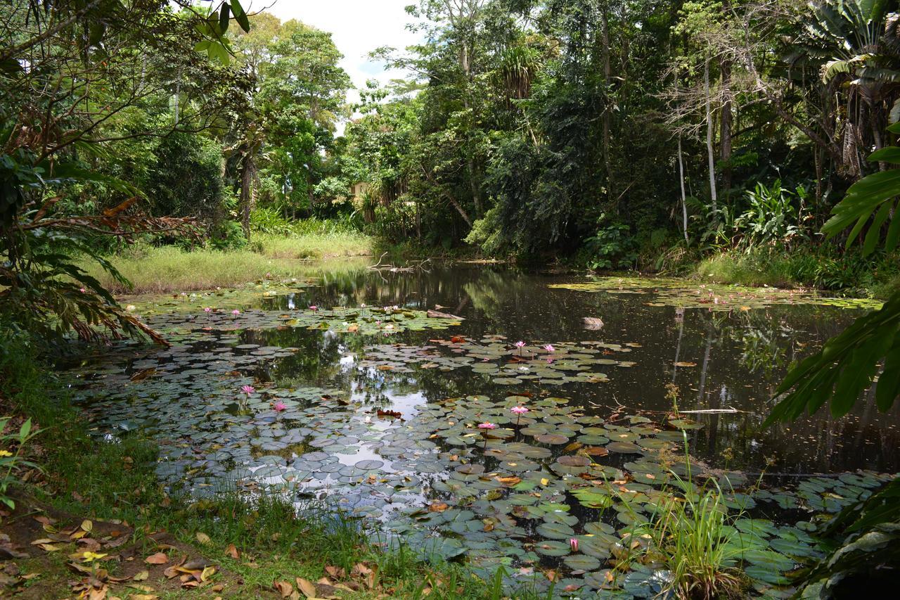 סובה Rainforest Eco Lodge מראה חיצוני תמונה