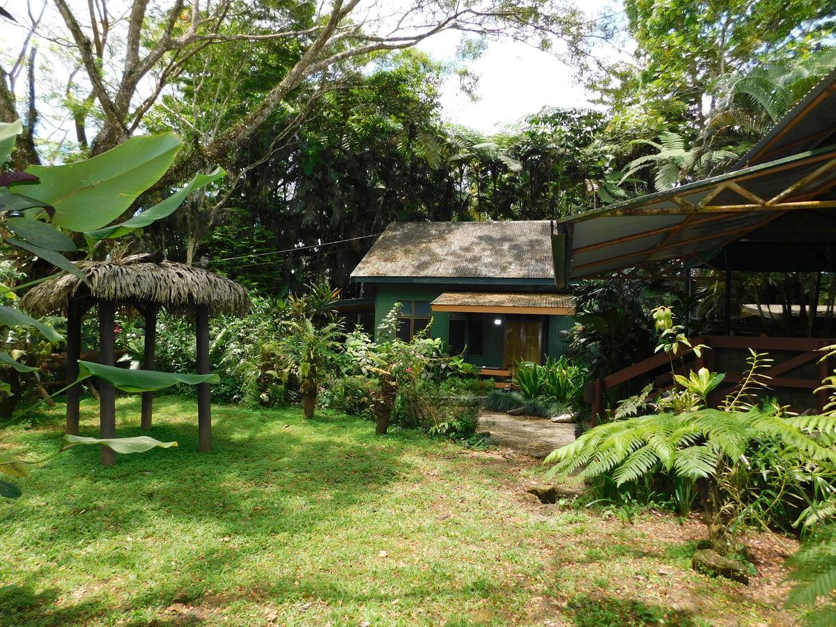 סובה Rainforest Eco Lodge מראה חיצוני תמונה