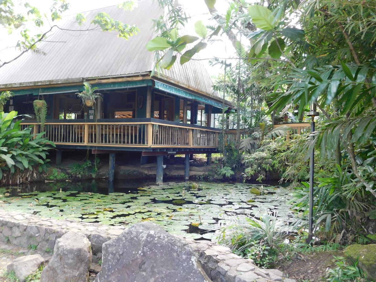 סובה Rainforest Eco Lodge מראה חיצוני תמונה