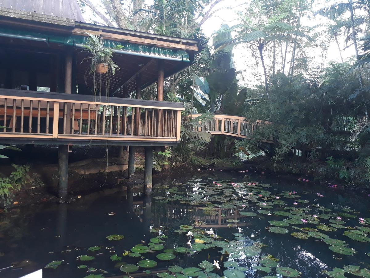 סובה Rainforest Eco Lodge מראה חיצוני תמונה