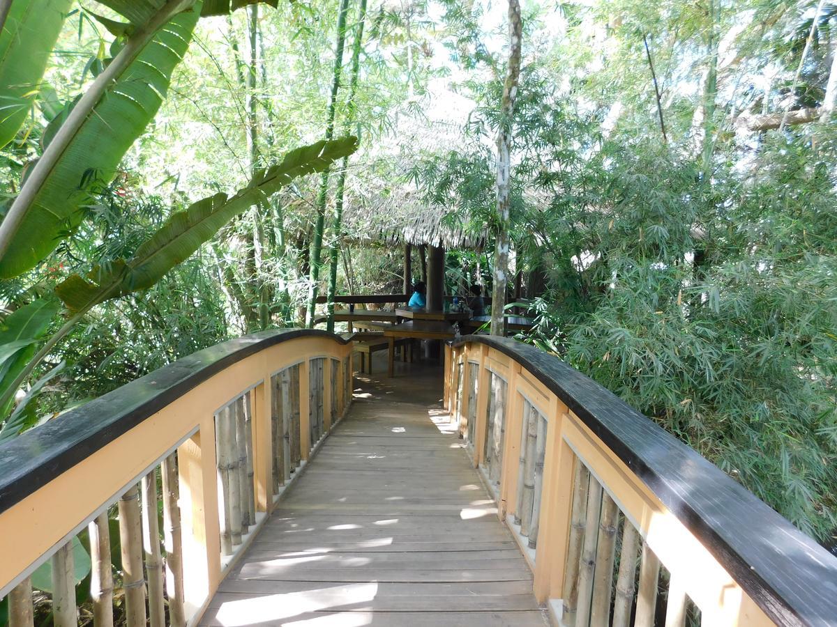 סובה Rainforest Eco Lodge מראה חיצוני תמונה