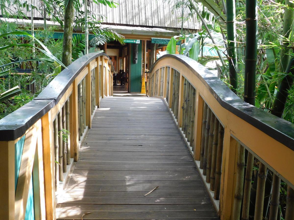 סובה Rainforest Eco Lodge מראה חיצוני תמונה